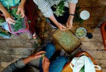 Correct dates for the five Kangaroo Island harvest exchanges