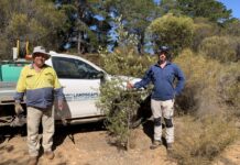 Campaign to control olive ‘wildings’ on Kangaroo Island’s eastern plains