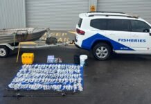 Fishers busted trying to smuggle 225 squid at Wirrina Cove