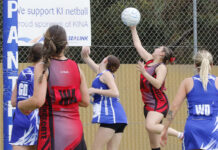 A-Grade netball action from Wisanger: PHOTOS