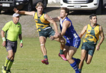 Ex-AFL players join Western Districts and Parndana match