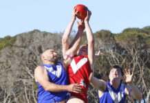 A Grade footy action from Panther Park: PHOTOS
