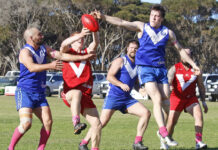 Wisanger A Grade strong against Parndana on Pink Day