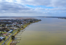 Environmental water flows have positive impact on Murray Darling Basin