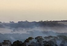 Scrub fire at Emu Bay; more rain forecast for KI this weekend