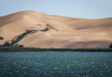 Climate change is turning SA’s coastal lagoons into ‘salty soup’