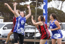 Netball reports from Western Districts, D-Grade photos from Wisanger