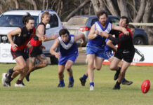 Wonks winners against Dudley, Wisanger and Kingscote score 50 each