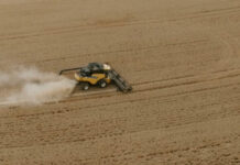 Grain Producers SA calls for budget support in ‘most severe droughts in memory’