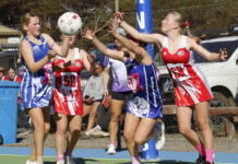 Junior netball action from Panther Park: PHOTOS