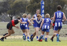 Western Districts break losing streak in B Grade