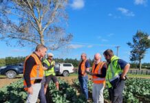 Free workshops and funding available for KI landholders to improve soil