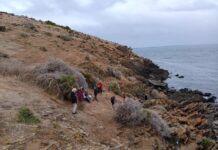 KI Walking Club rounds Kangaroo Head for its May outing