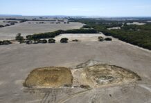 Putting support into action: Drought relief programs for regional SA