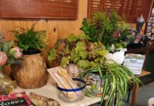 KI Garden Club holds fundraising auction for Penneshaw Community Garden