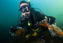 New footage exposes extent of algal bloom damage; scientists renew call for reef monitoring