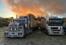 Historic first hay drop for Kangaroo Island as drought pressures mount