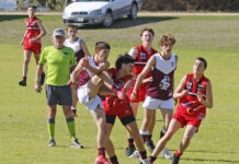 Action from the inter-association matches against Southern last weekend: PHOTOS