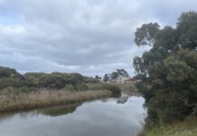 SA Climate Ready Coasts grant funding goes to Onkaparinga, Victor Harbor councils