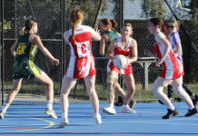 Junior and Senior netball action from Parndana: PHOTOS