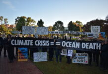 ‘Funeral’ for marine life killed by algal bloom held at Department for Environment office