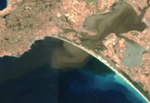 Better floodwater management at Murray Mouth may reduce future algal blooms