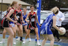 Kangaroo Island netball action from Panther Park: PHOTOS
