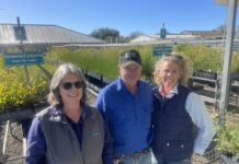 KI native plant nursery proves popular as winter rains finally come to island
