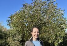 Getting started with carbon farming – free workshops on KI