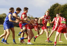 A Grade action from Parndana versus Wisanger: PHOTOS