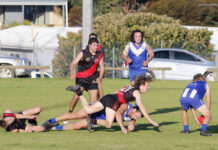 A Grade footy action from Soldiers Memorial Park: PHOTOS