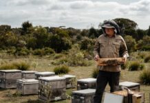 Lots happening at Kangaroo Island Ligurian Bee Company: KI Food, Wine, Art 2025