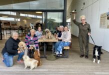 Canine star Zak Feddersen from ‘Colin from Accounts’ visits KI