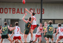 New concussion function for PlayHQ to help community football leagues, clubs, players