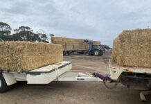 $1 million in new mental health support for drought-affected farmers