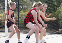 Western Districts hosts Kingscote in A Grade and 17&U: PHOTOS