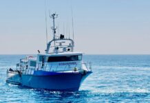 Fisheries vessel to inspect harmful algal bloom in Gulf of St Vincent