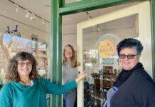 A Little Art Space to host SALA exhibition ‘By the Wintering Sea’