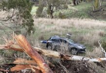 Two fatal car crashes on Fleurieu Peninsula roads on Saturday