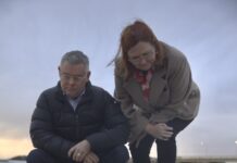 Federal environment minister pledges up to $14 million to help deal with algal bloom