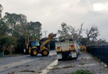 BOM confirms ‘transient cool season tornado’ may have swept through Yankalilla on July 8