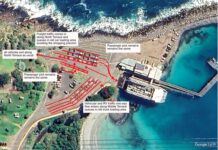 Newly released Penneshaw master plan draws criticism from retired architect