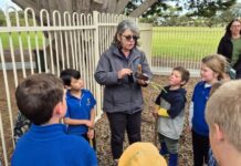 Parndana students plant butterfly garden with help of KI Landscape Board