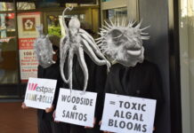 Extinction Rebellion ‘Sea Kill Action’ protests Westpac profiting off destructive fossil fuel