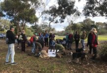 Sit-in protest planned on steps of Parliament House over harmful algal bloom