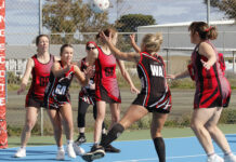 D Grade netball action from Kingscote: PHOTOS