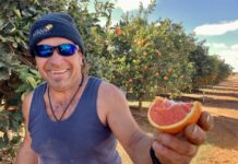 EV travels around SA: finding the Harold Cottee orchard near Renmark