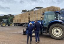 No end in sight: Rural Aid ramps up support as SA drought persists