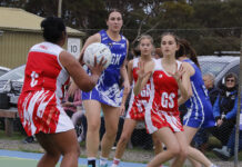 Wisanger versus Parndana netball action from Panther Park: PHOTOS