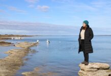 Islanders can make submissions to Senate inquiry on harmful algal bloom